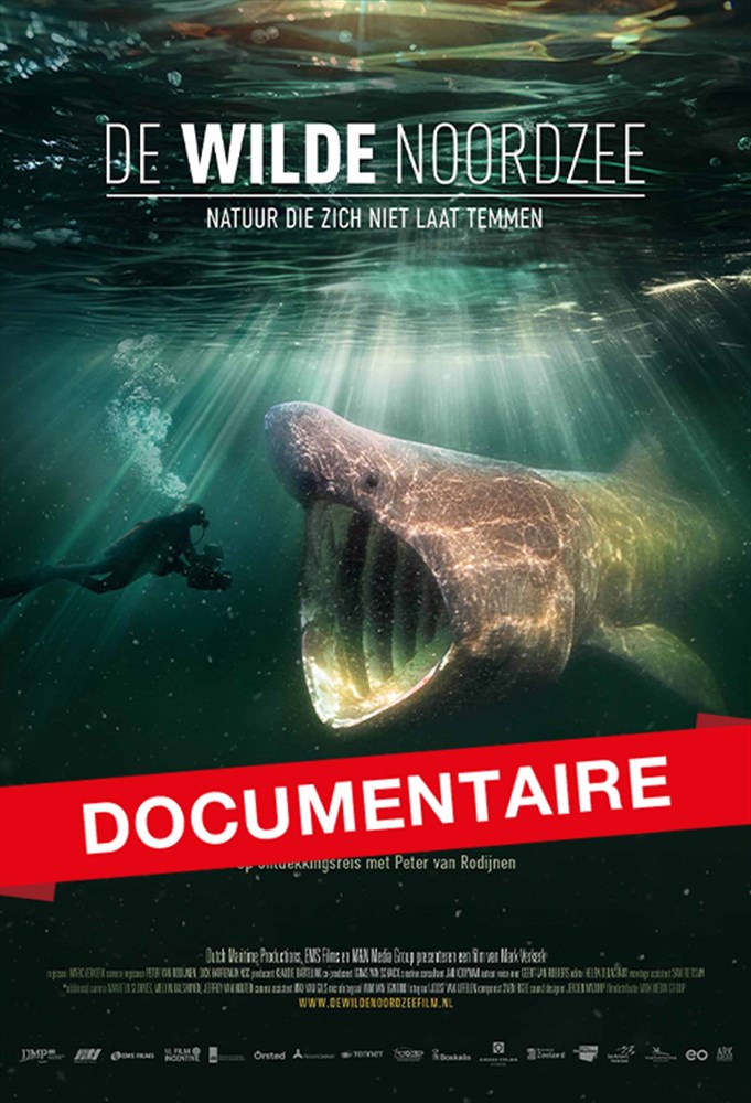 de-wilde-noordzee-documantaire.jpg